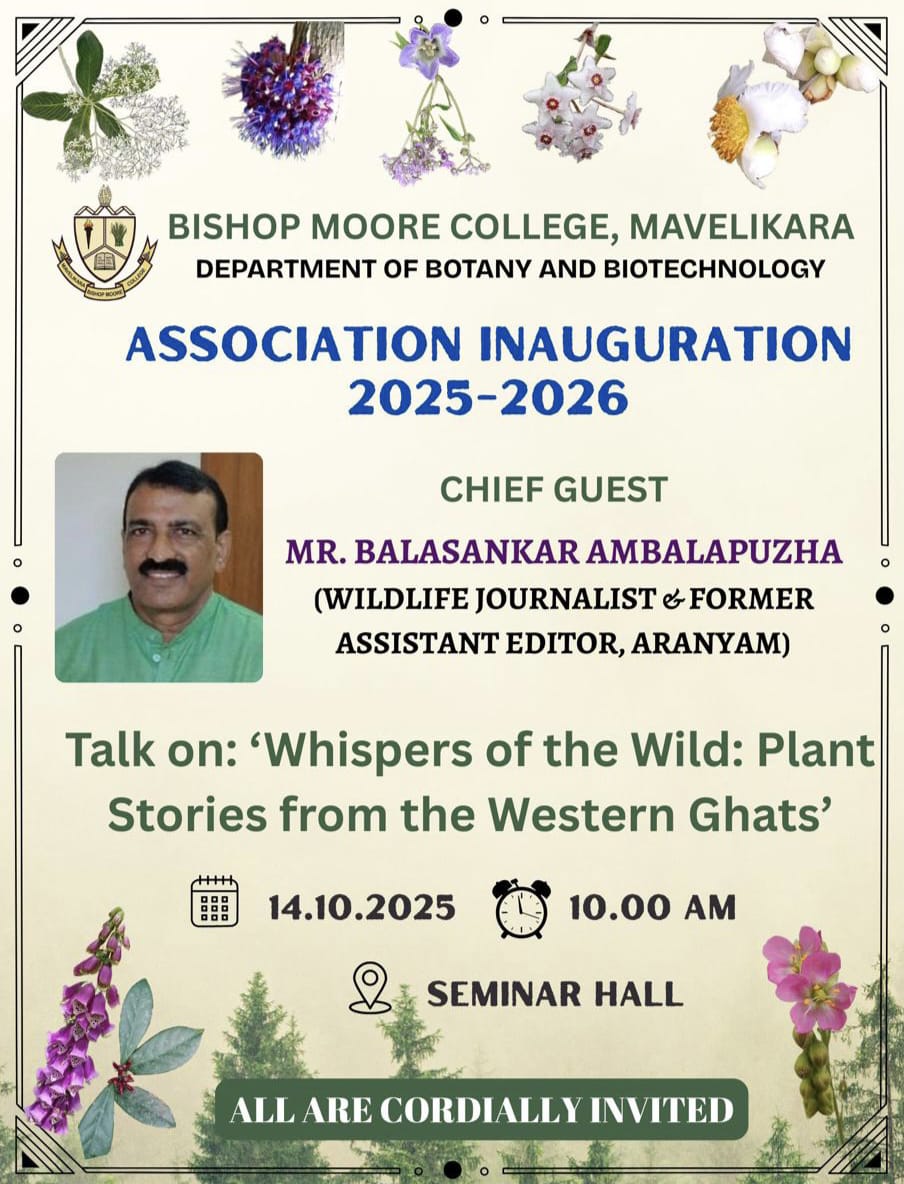 uploads/WhatsApp Image 2025-10-13 at 21.15.32-2025-10-16-07-22-42.533.jpeg